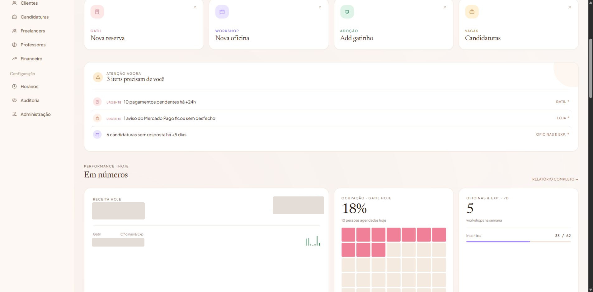 Captura real da área Dashboard do Ronron, com dados privados ocultados